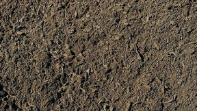 Blue Star Organic Garden Mix Soil 30L: Enriched Garden Bed Soil for Veggies and Flowers