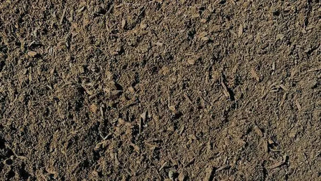Blue Star Organic Garden Mix Soil 30L: Enriched Garden Bed Soil for Veggies and Flowers