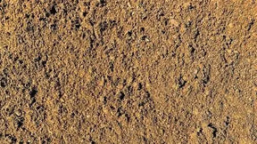 Blue Star Super Compost Mix Soil 30L: Organic Compost Blend for Beds, Veggies and Fruit Trees