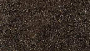 Blue Star Veggie Garden Compost Mix Soil 30L: Fine Organic Compost for Vegetable Beds
