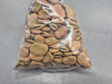 Broad Bean 500gram our own packaging Bonnyrigg Produce & Garden Supplies