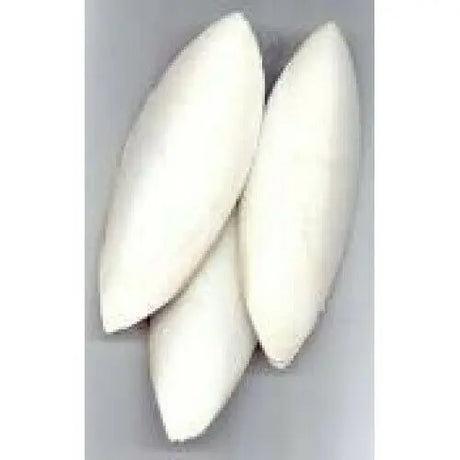Cuttlebone for Birds Medium 6 Pack: Natural Calcium and Beak Conditioning