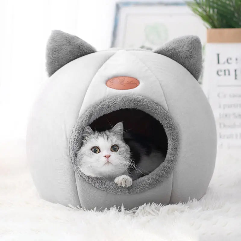 Deep Sleep Comfort In Winter Cat Tent Cozy Cave Nest