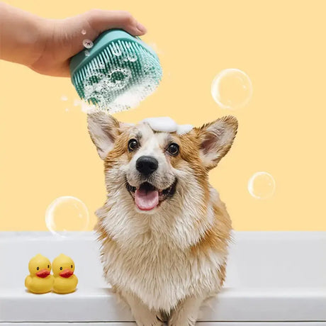 Dog Bathing & Massage Brush: Soft Silicone Brush with Shampoo Dispenser