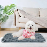 Other Pet Accessories