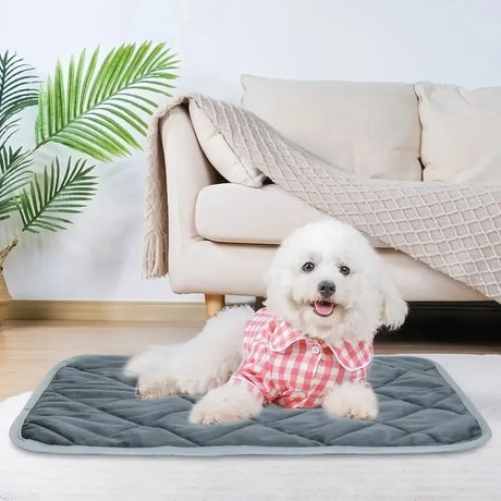 Extra Warm Self-Heating Pet Pad – Thermal Mat for Small & Medium Dogs and Cats