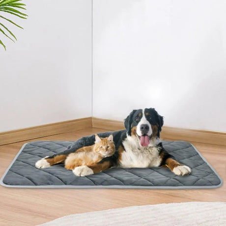 Extra Warm Self-Heating Pet Pad – Thermal Mat for Small & Medium Dogs and Cats