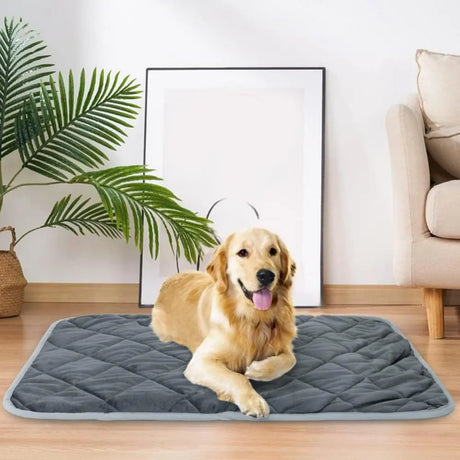 Extra Warm Self-Heating Pet Pad – Thermal Mat for Small & Medium Dogs and Cats