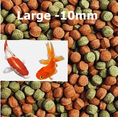 Feedwell Goldfish & Koi Pellets  - Large - Pellets Size 10mm | Premium Fish Food for Healthy Growth -Available in Different Sizes Elite Pet Products