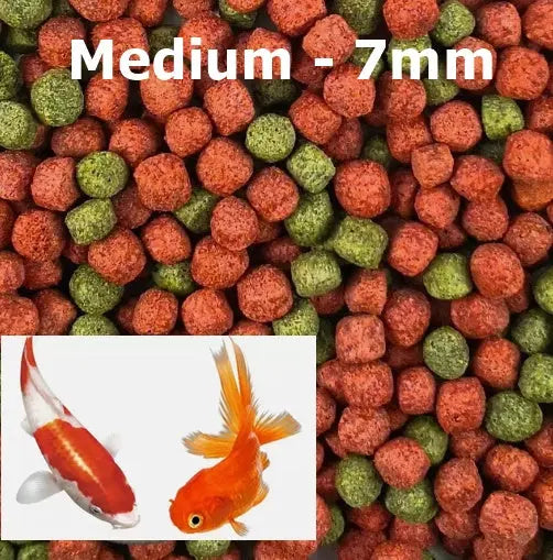 Feedwell Goldfish & Koi Pellets - Medium - Pellets Size 7mm | Premium Fish Food for Healthy Growth Available in Different Size Elite Pet Products