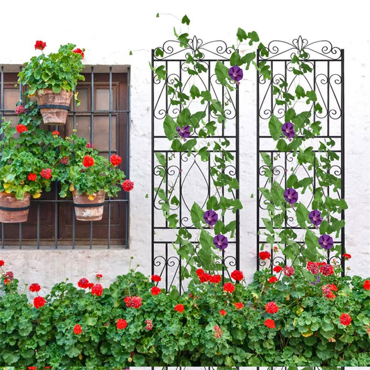 Garden Border Trellis High Metal Climbing Plants Support Trellis