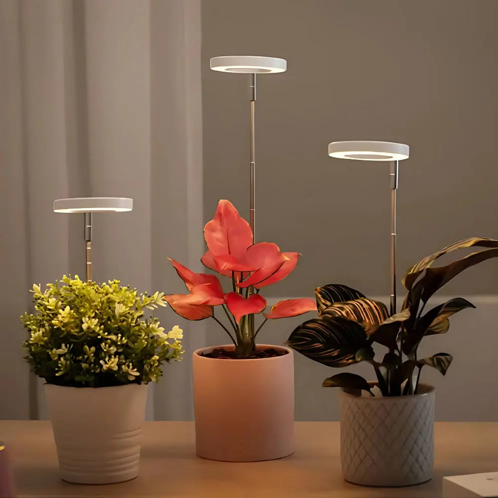 LED Plant Growth Light USB Timer Adjustable Height