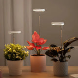 LED Plant Growth Light USB Timer Adjustable Height