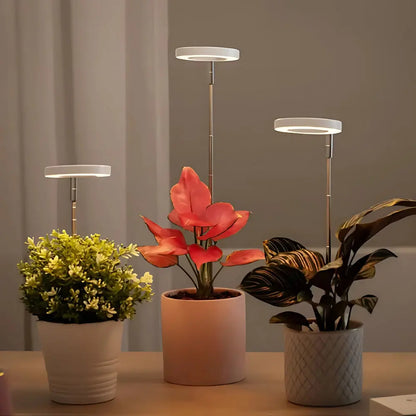 LED Plant Growth Light USB Timer Adjustable Height