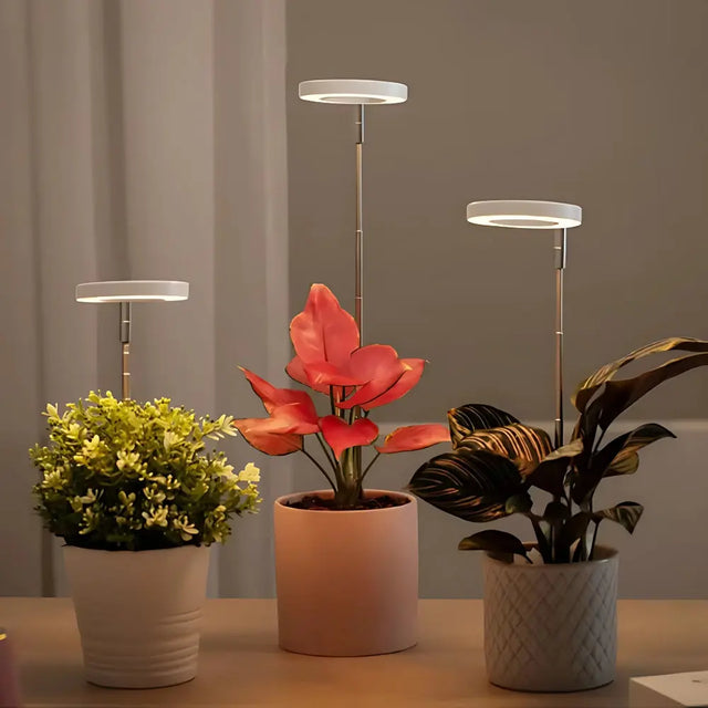 LED Plant Growth Light USB Timer Adjustable Height