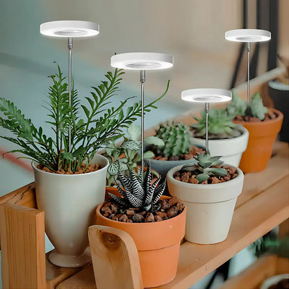 LED Plant Growth Light USB Timer Adjustable Height