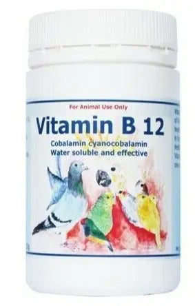 Mineral Energy Vitamin B12 Pigeons 200G