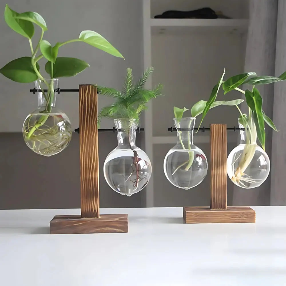 Modern Glass Bulb Vase with Wooden Stand for Hydroponic Plants