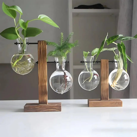 Modern Glass Bulb Vase with Wooden Stand for Hydroponic Plants