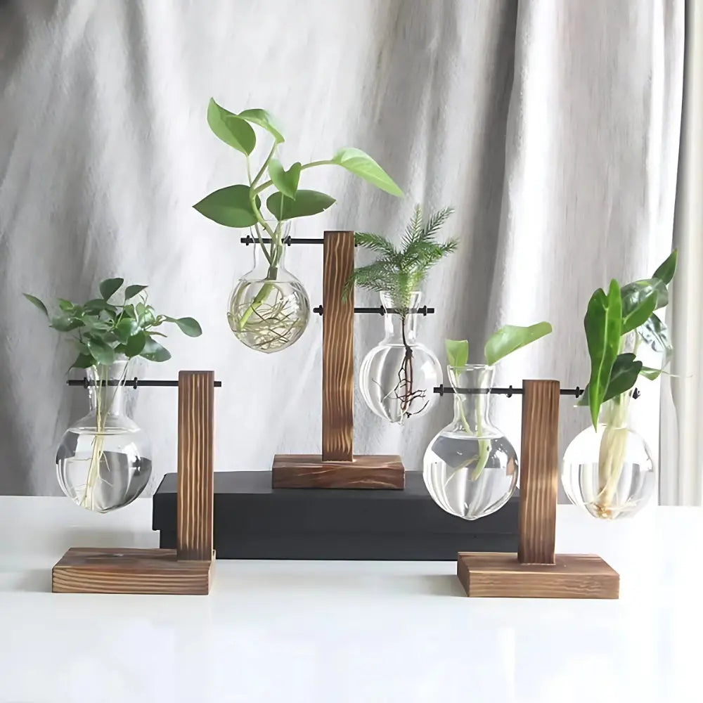 Modern Glass Bulb Vase with Wooden Stand for Hydroponic Plants