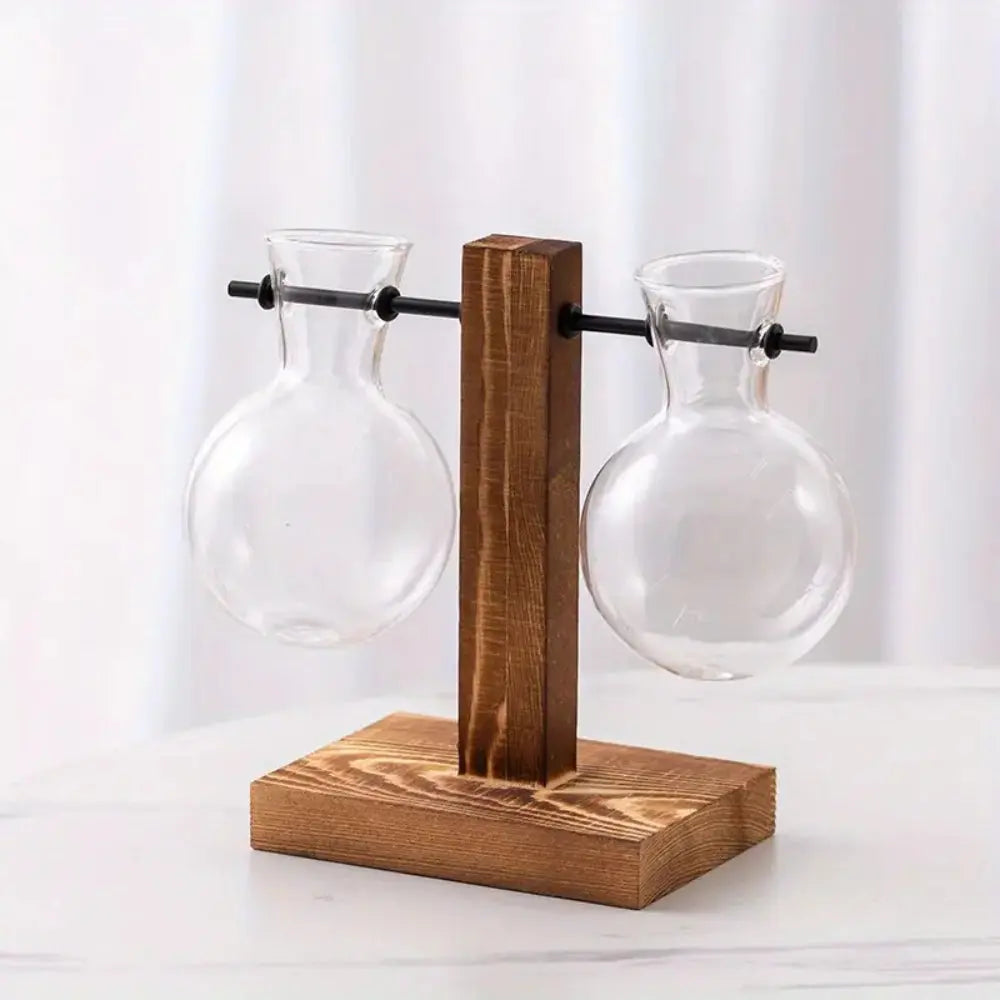 Modern Glass Bulb Vase with Wooden Stand for Hydroponic Plants