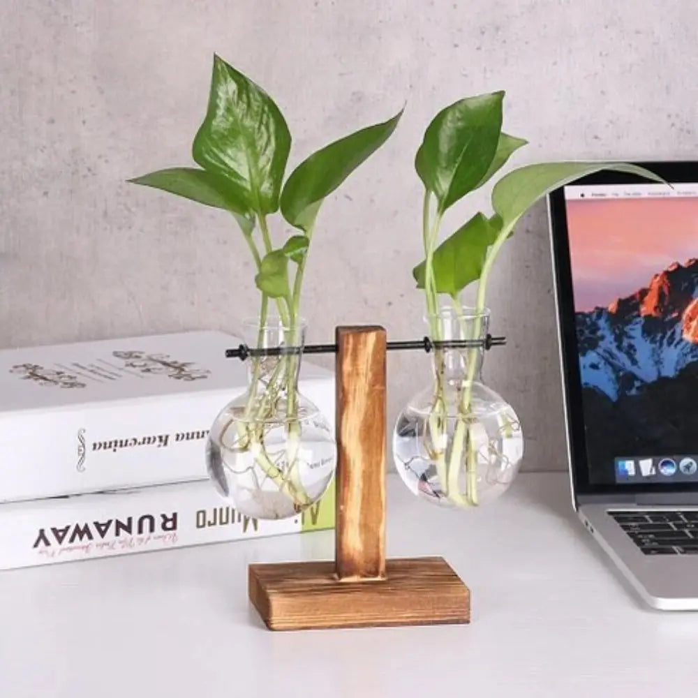 Modern Glass Bulb Vase with Wooden Stand for Hydroponic Plants