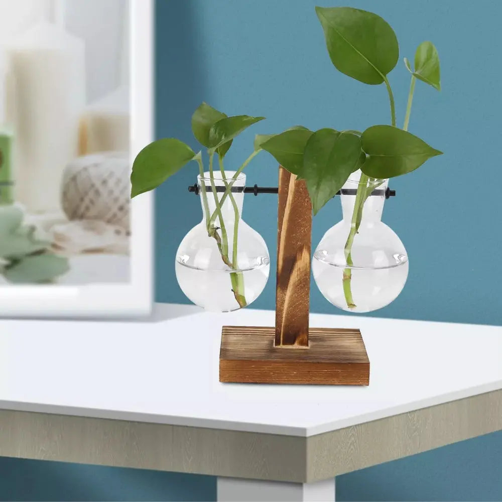 Modern Glass Bulb Vase with Wooden Stand for Hydroponic Plants