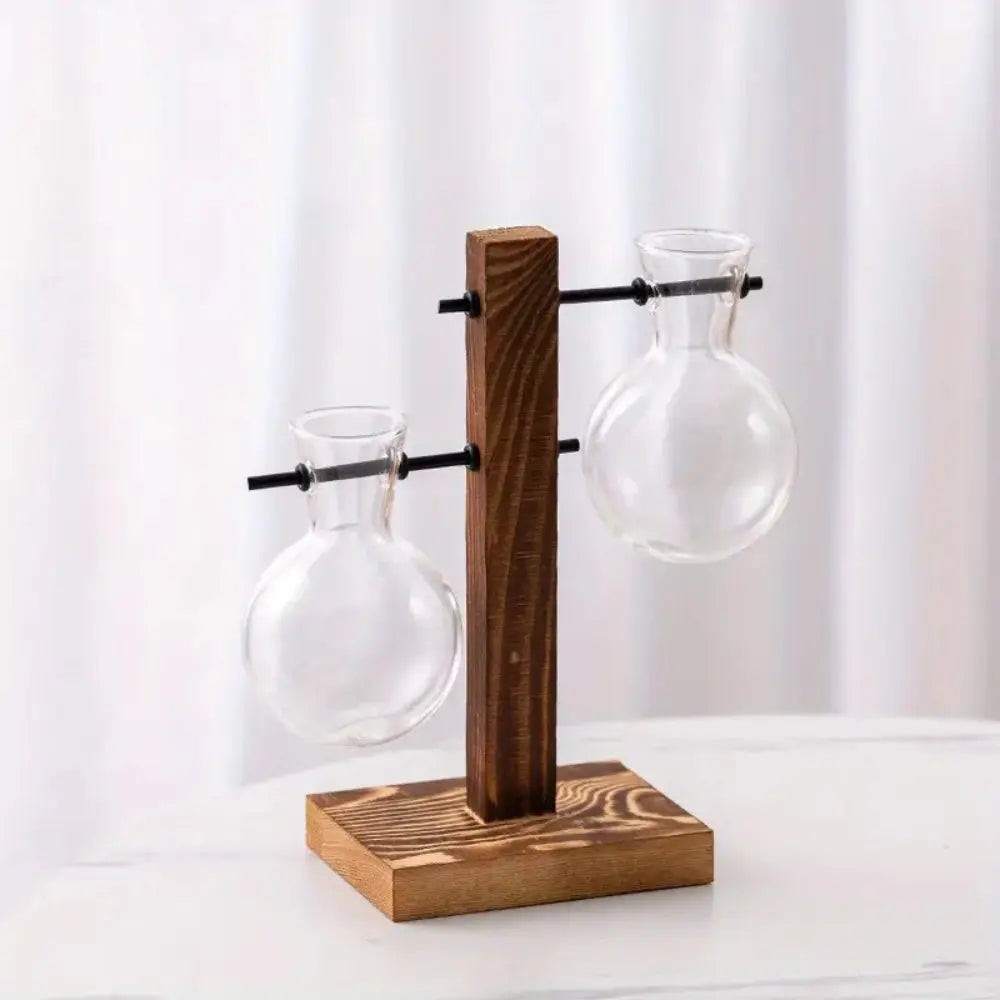 Modern Glass Bulb Vase with Wooden Stand for Hydroponic Plants