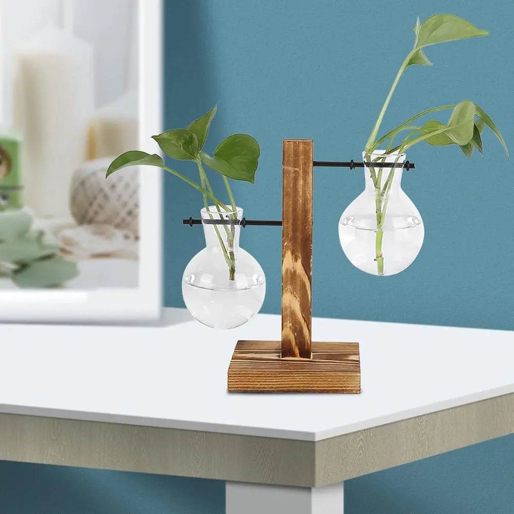Modern Glass Bulb Vase with Wooden Stand for Hydroponic Plants