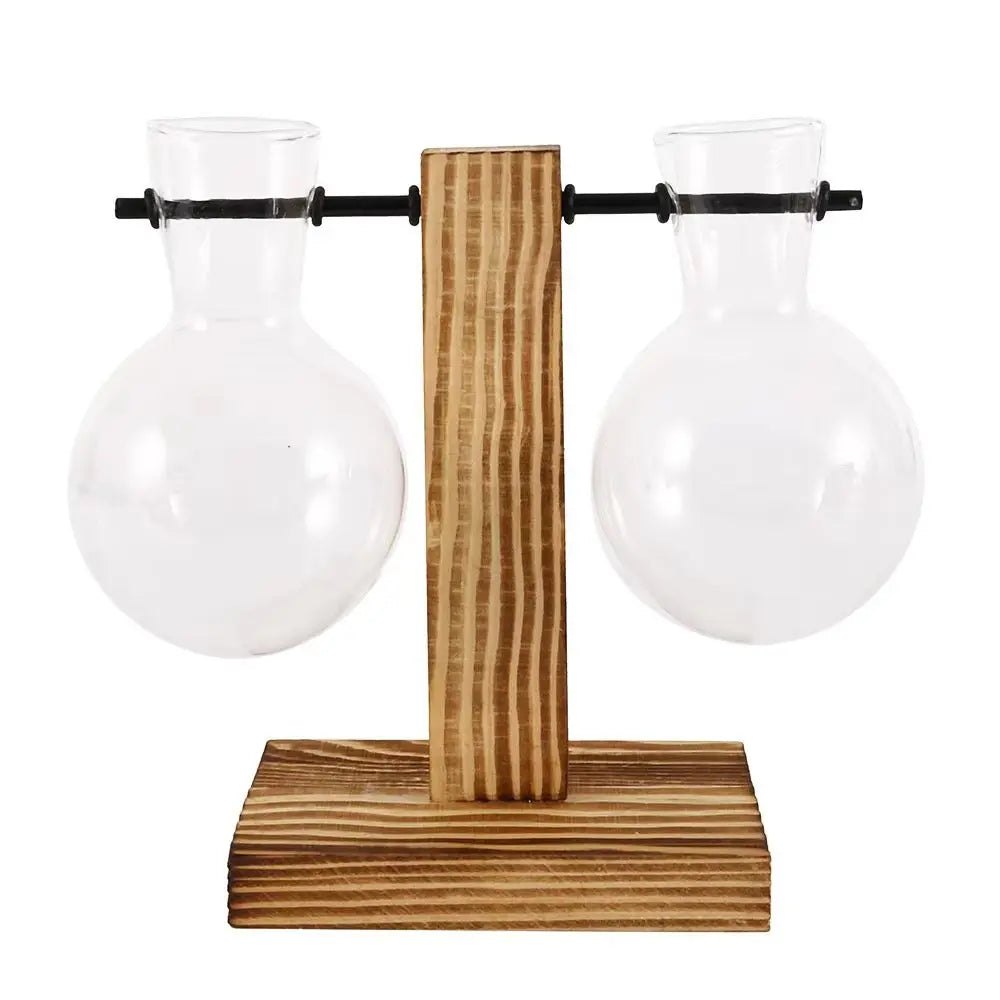 Modern Glass Bulb Vase with Wooden Stand for Hydroponic Plants