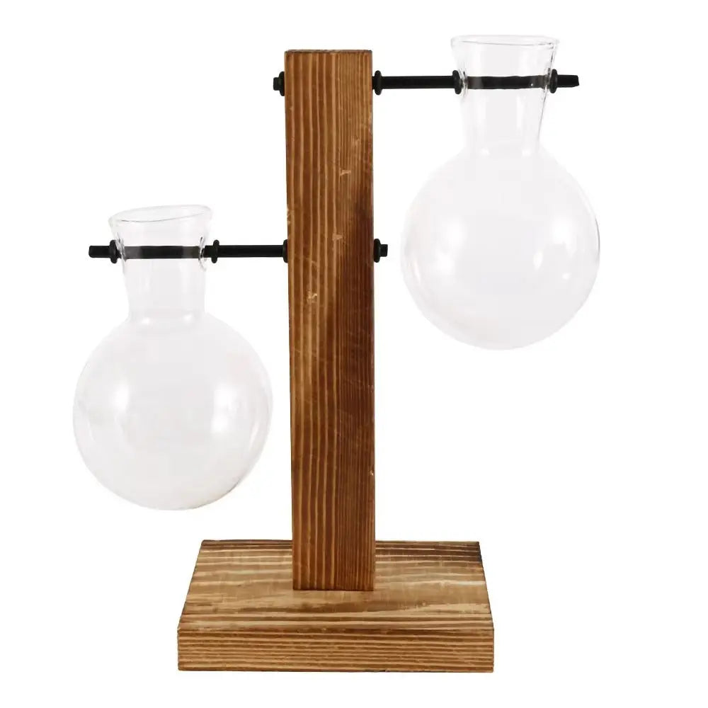 Modern Glass Bulb Vase with Wooden Stand for Hydroponic Plants