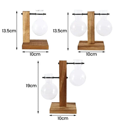 Modern Glass Bulb Vase with Wooden Stand for Hydroponic Plants