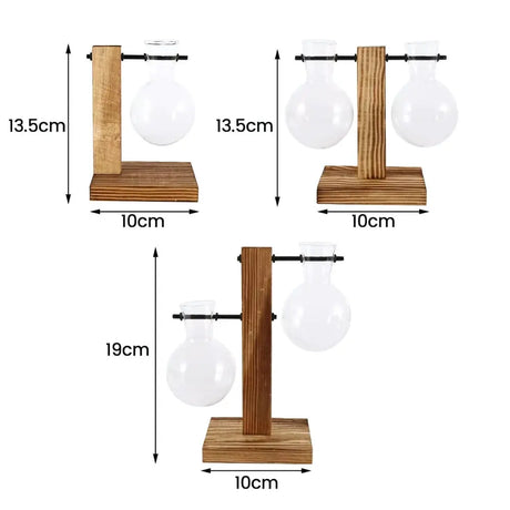 Modern Glass Bulb Vase with Wooden Stand for Hydroponic Plants