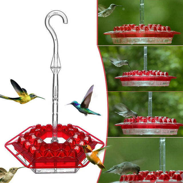  Hexagonal Flower Hummingbird Feeder in Australia | Hanging