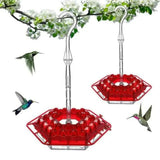  Hexagonal Flower Hummingbird Feeder in Australia | Hanging