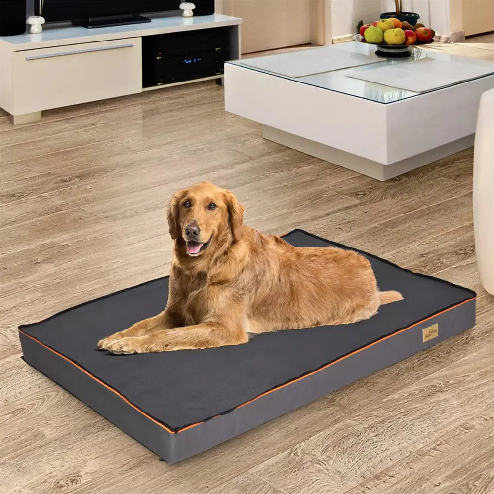 Orthopaedic Dog Bed | Large Washable Dog Bed Australia