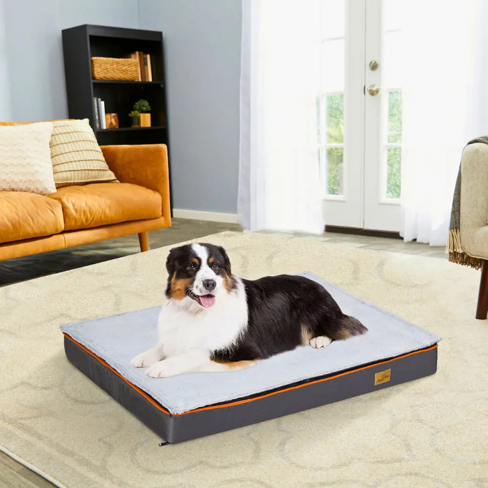 Orthopaedic Dog Bed – Large Padded Bed with Washable Cover