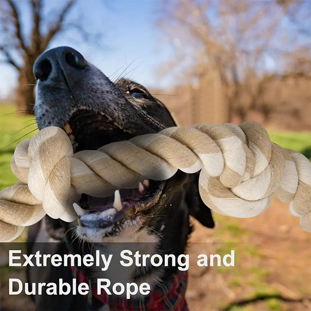 PETSWOL Dog Rope Toy for Dogs Who Love to Chew | Safe and Durable for Large and Medium Dogs