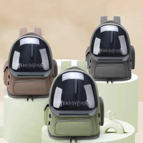 Portable Pet Carrier for Cats and Small Dogs