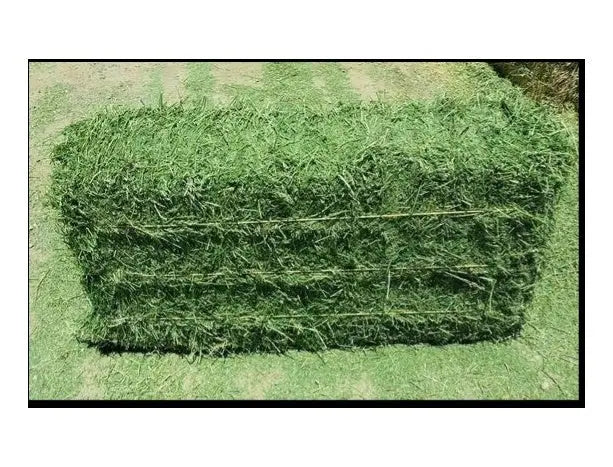  Lucerne Hay Bale