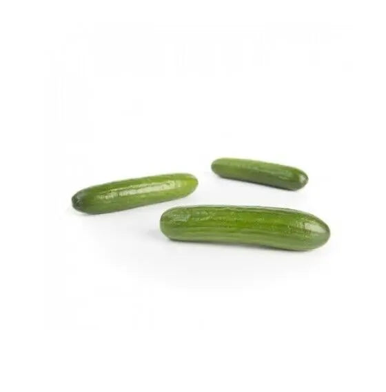 RIJK ZWAAN-CRAIG RZ F1 MINI CUCUMBER 10 SEEDS