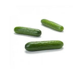 Seeds