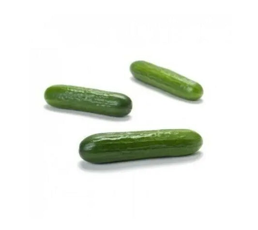 RIJK ZWAAN-KHASSIB RZ F1 MINI CUCUMBER 10 SEEDS