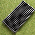 Rectangular Tray Sprout Nutrient Bowl Sprout Wheat Plastic Propagation Succulent Seedling Cup Pot Bonnyrigg Produce & Garden Supplies