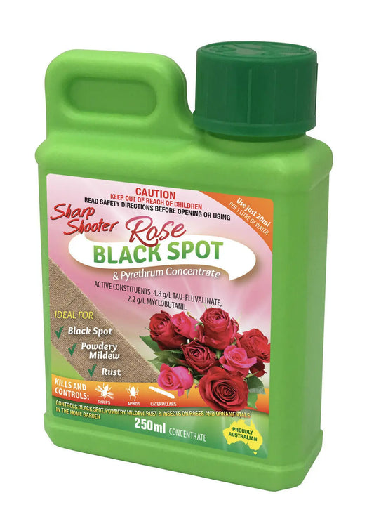 Sharp Shooter Rose Black Spot 250mL