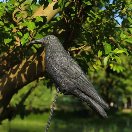 Simulation Black Crow Decoy: Realistic Bird Repellent for Gardens and Balconies
