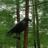 Simulation Black Crow Raven Pigeon Repellent