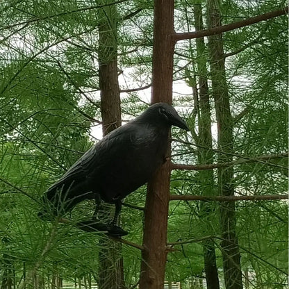 Simulation Black Crow Raven Pigeon Repellent