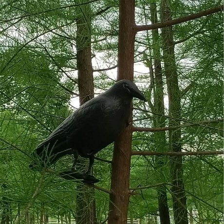 Simulation Black Crow Decoy: Realistic Bird Repellent for Gardens and Balconies