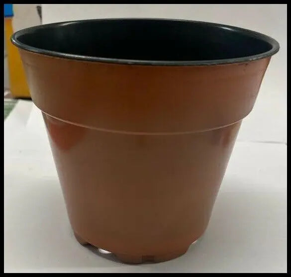 Small Plastic Plant Pots 80Pcs